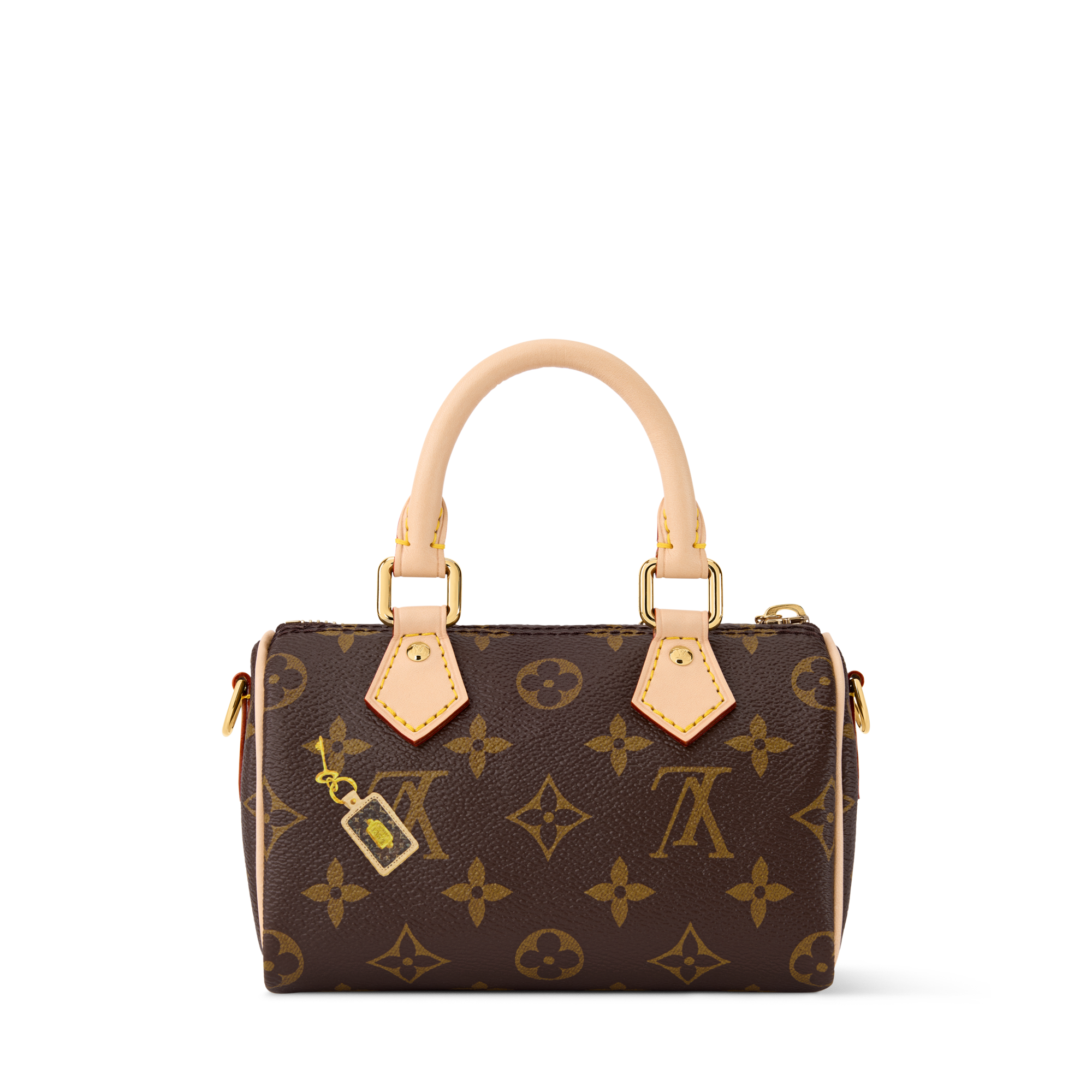Speedy Bandoulière 18 x The Darjeeling Limited Damier Other - Bags